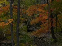 inviting beauty.webp