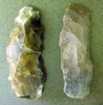 DSC00396-1.webp