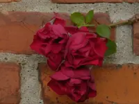 brick roses 2.webp
