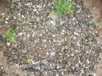 100_2132.webp