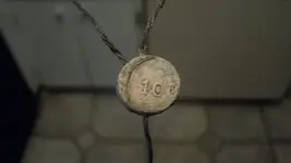lead seal p.o.webp