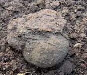 i button just dug.webp