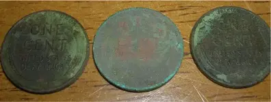 DSCN3747[1].webp