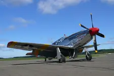 Warbirds-P51.webp