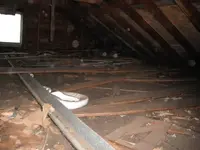 DSCF0085.webp
