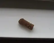 bullet1.webp