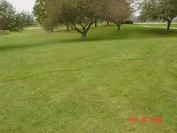 Park area were all the coins were found.webp