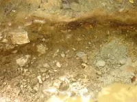 DSC04137 (Large).webp