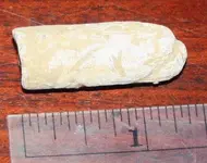 crude bullet.webp