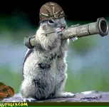 army_squirrel.webp