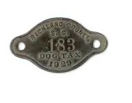 1929 dog tag.webp