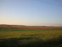 indian old fields 008.webp