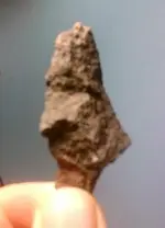 old brown 2.webp