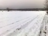 field.jpg.webp