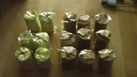 Coins.webp
