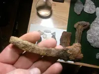 Small spike 1.webp