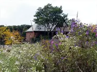 flower station.webp