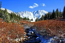 snow2.webp