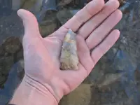 arrowheads 2009 002.webp