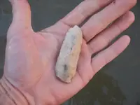 arrowheads 2009 004.webp
