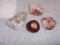 GregRocks1.webp