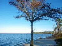 101_0011.webp
