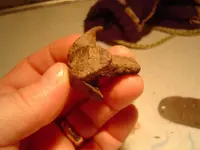 Vermont Copper Site 007 [50%].webp