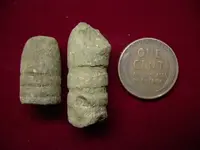 DSCN4368.webp
