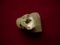 DSCN4372.webp