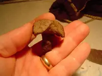 Vermont Copper Site 008 [50%].webp
