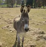 Today_Hunt_013.webp