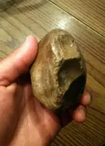 cob1.webp