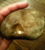 cob3.webp