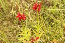 IMG_1589.webp