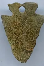 indian arrowhead.webp