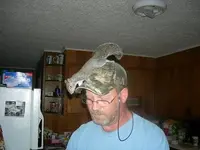 toshia.webp