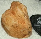 UNKNOWN ROCK 2.webp