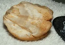 UNKNOWN ROCK 4.webp