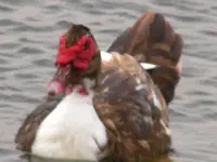 110809 120.webp