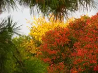 110809 177.webp