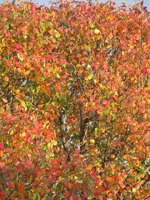 110809 179.webp
