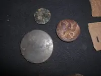 Button Fronts.webp