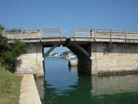 Bridge.webp