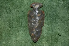 New Pics004.webp