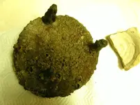 000_0002_01.webp