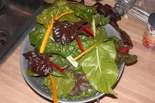 Picture 002 (2).webp