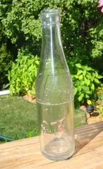 Bottle.webp