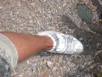 CIMG0836.webp