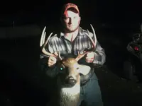 deer.webp