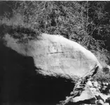 101 caney creek.webp